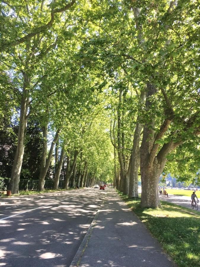 Annecy Center 2 Steps From The Lake Cozy And Renovated! エクステリア 写真